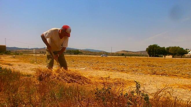 En espera del maná prometido