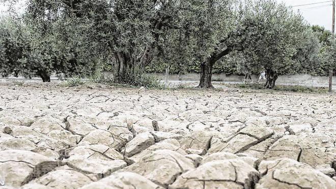 El campo califica al unísono de «burla» el plan fiscal del Gobierno contra la sequía