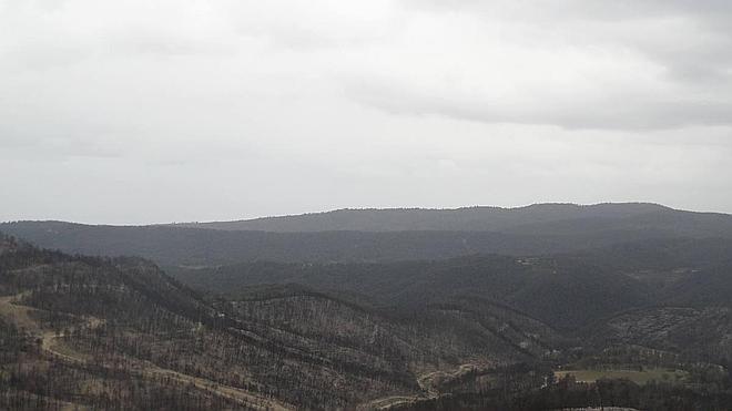 El plan de empleo forestal de Fabra se olvida de miles de hectáreas en l'Alacantí