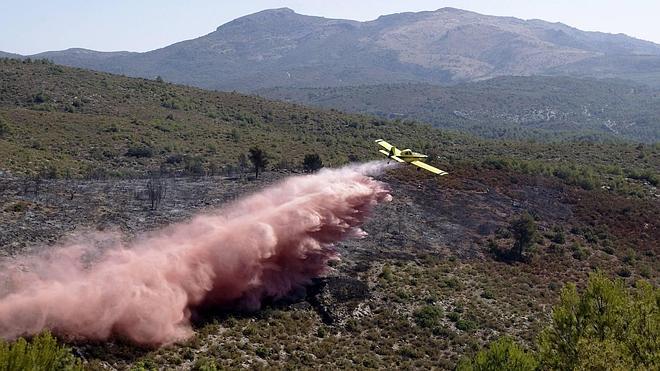 Los fabricantes de chimeneas instan al Consell a regalar la leña del monte