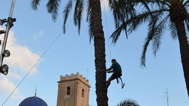 Los palmereros se cuelan en los actos de las fiestas patronales