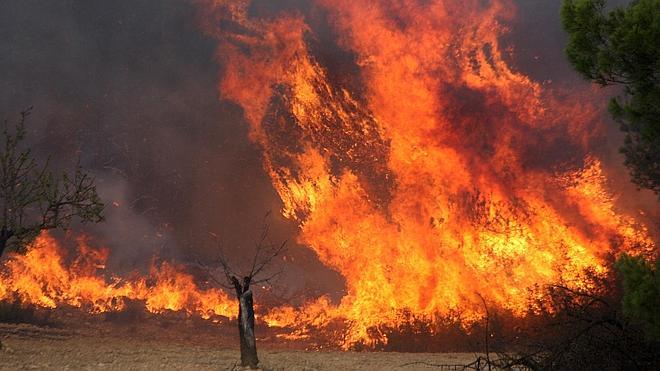 Muere un piloto murciano al estrellarse con un helicóptero en el incendio de Almansa