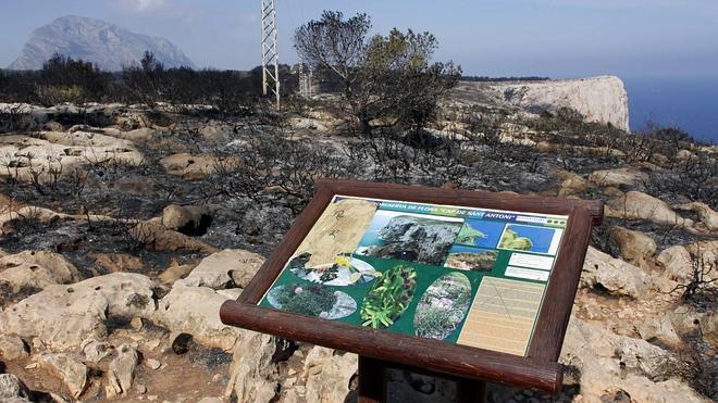 Dénia pedirá la declaración de 'zona catastrófica' por el incendio del Montgó