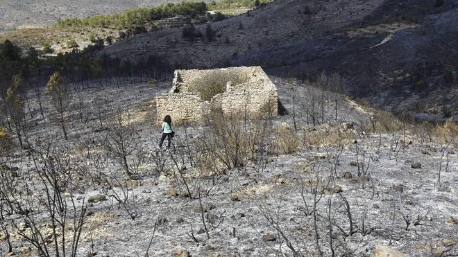 Determinan que el incendio forestal de Planes fue intencionado