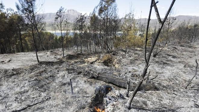 El incendio en el pantano de Beniarrés fue intencionado