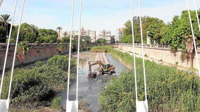 La CHS comienza a recuperar 100.000 m2 de sotos abandonados