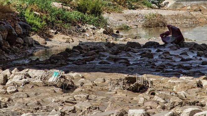 El PSPV denuncia aguas fecales y peces muertos en el Barranco de las Ovejas