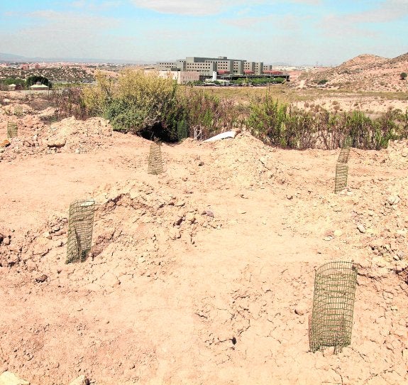 La Chimenea vuelve al marrón | La Verdad