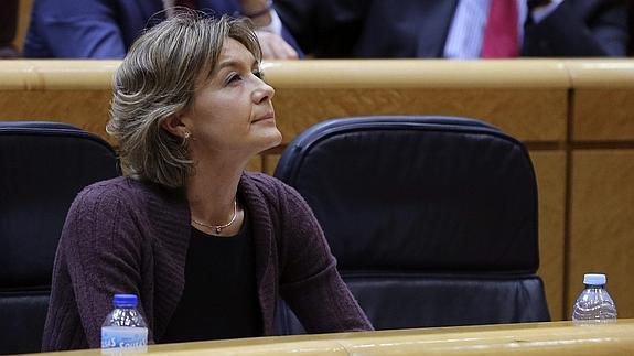 Tejerina: «Los mercados responden a las medidas para paliar el veto ruso»