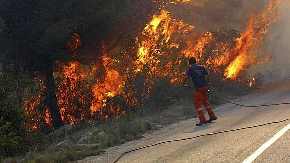 La Comunitat registra 493 incendios forestales durante 2014