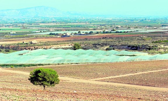 El Consejo Jurídico dice que el Consistorio no debe devolver el dinero de El Raiguero