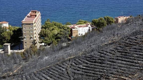 La Comunitat cuenta con más de 300.000 hectáreas en alto riesgo de incendio