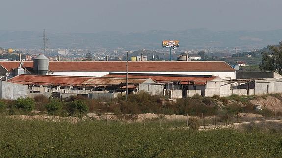 Un perito del 'caso Umbra' valora en 7 millones el traslado de unas granjas que el Ayuntamiento cifró en 68,8