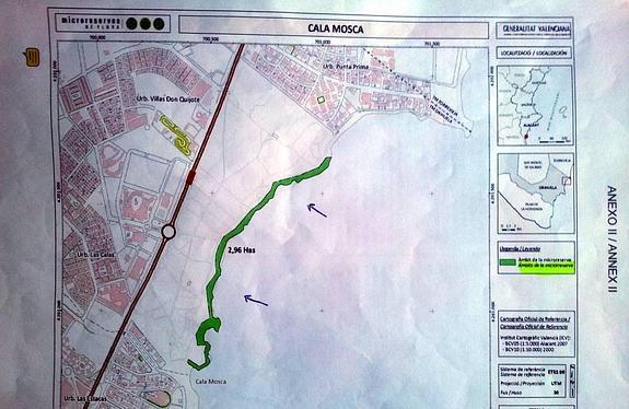 La microrreserva de flora de Cala Mosca no protege la planta 'cabeza de gato'