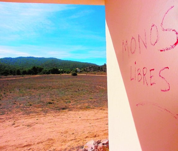 El controvertido lustro del centro de primates de Villena