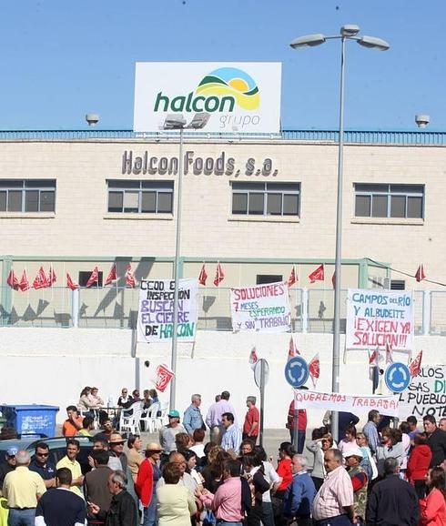 Halcón Foods no levantará el vuelo