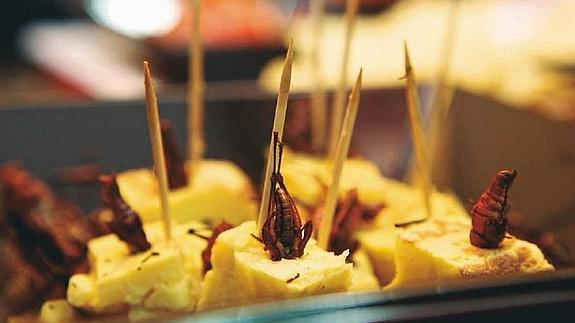 La UA propone coca de hormigas culonas y saltamontes a la miel en su I Jornada Gastronómica de insectos
