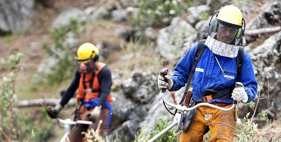 El Consell duplica la ayuda destinada al salario joven para combatir el paro