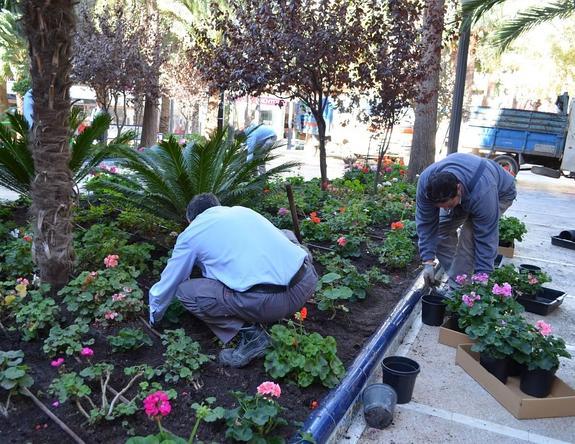 El Plan de Empleo Conjunto impulsado por el Consell dará trabajo a 200 parados en 2015