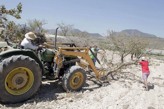 Unos 1.500 empresarios agrícolas dejan el campo en solo dos años