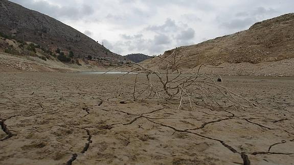 ASAJA calcula que la sequía afecta a cerca de 40.000 hectáreas en la provincia en 2014