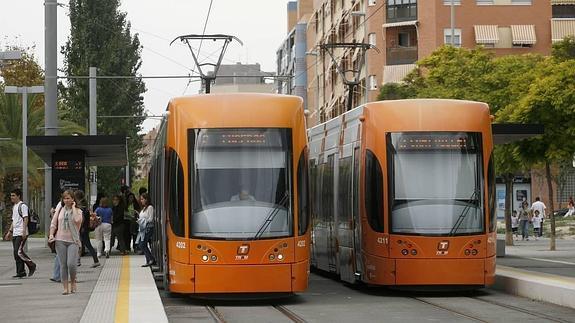 El 35,6% de los ususarios del TRAM viajan por trabajo y el 23,9% por estudios