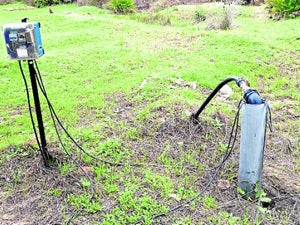 La gestión del agua pone a Doñana contra las cuerdas