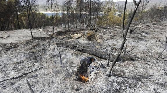 El Consell conciliará la protección forestal con las actividades pirotécnicas