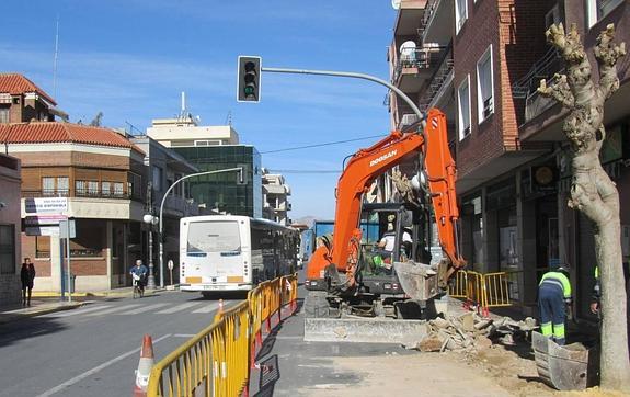 La reforma de la Avenida del Carmen incluirá la sustitución del arbolado