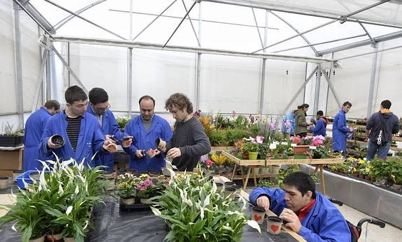 Dígaselo con flores