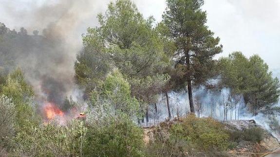 Una quema agrícola, origen del incendio de L'Orxa