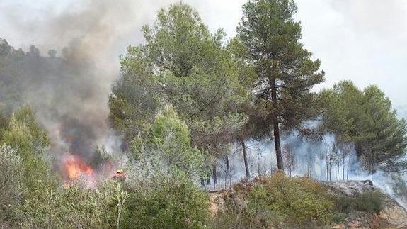 Controlado el incendio forestal de L'Orxa tras afectar a 29 hectáreas