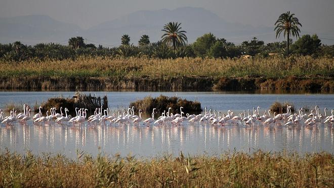 La UE dará ayudas a los agricultores para proteger las zonas húmedas