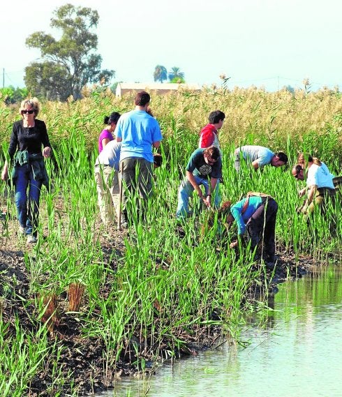 La UE apoyará por primera vez la agricultura en los humedales locales