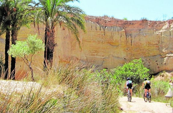 Turismo a golpe de pedal