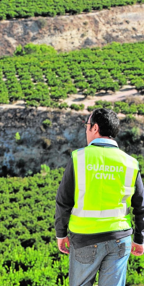 Los hurtos y robos en el campo apenas repuntan pero bajan los esclarecidos