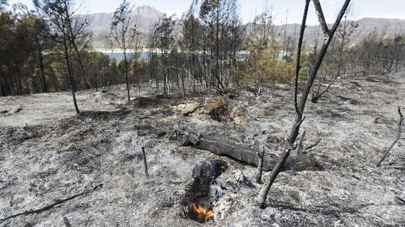 La Generalitat pide extremar las precauciones para evitar incendios