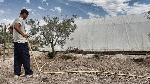 Los regantes de la Comunitat defienden el trasvase a un precio asequible