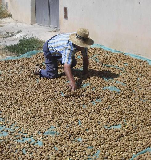 La compra de almendra en EE UU se triplica ante el temor a que se agote