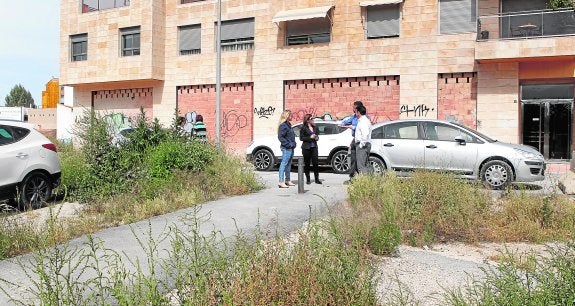 Una 'jungla' a la puerta de casa