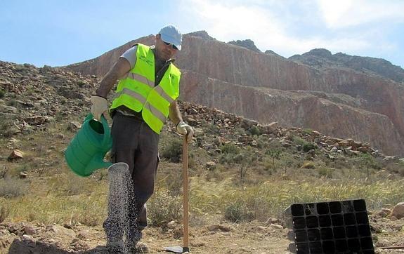 La cantera reverdece