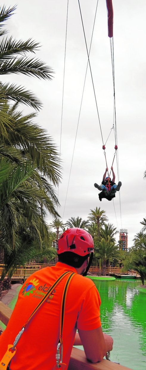 Aventura entre palmeras