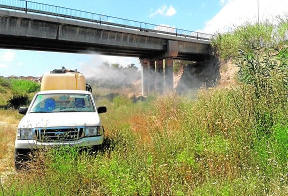 Alguazas renueva su lucha contra los mosquitos