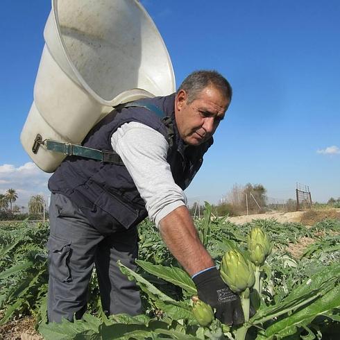 Agricultores de Elche denuncian que no pueden acceder a las ayudas al desarrollo