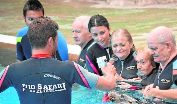 Terapia con leones marinos en Río Safari