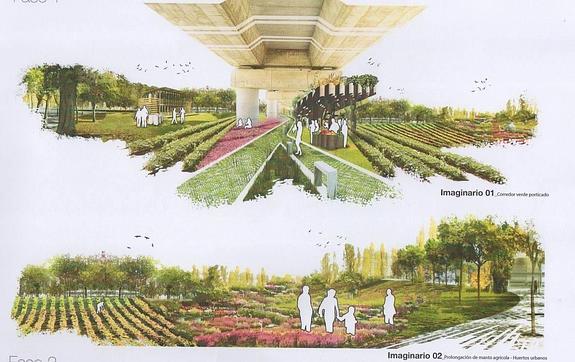 El Consell proyecta una vía verde que integre el paso del AVE en Cox y Callosa