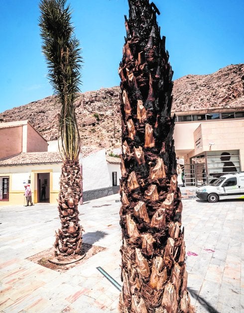 La FMH reclama más vigilancia y mejoras en el Rincón Hernandiano