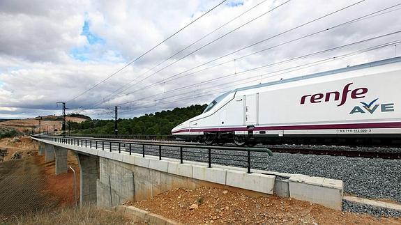 Pro AVE denuncia que Fomento «margina» a la Comunitat