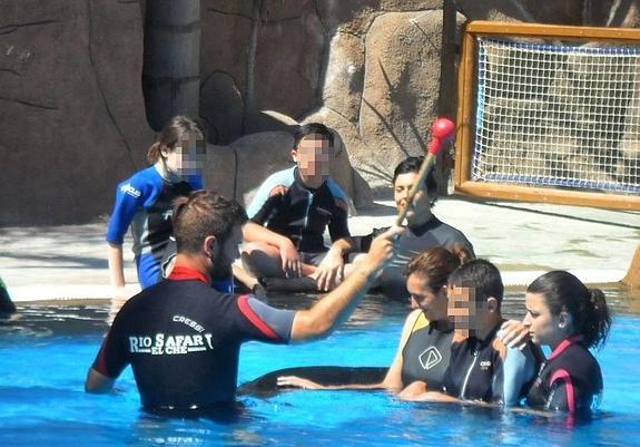 Niños de Apanee participan en una terapia única en Europa con leones marinos