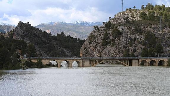 Los niveles de agua de los pantanos del Segura descienden casi a la mitad